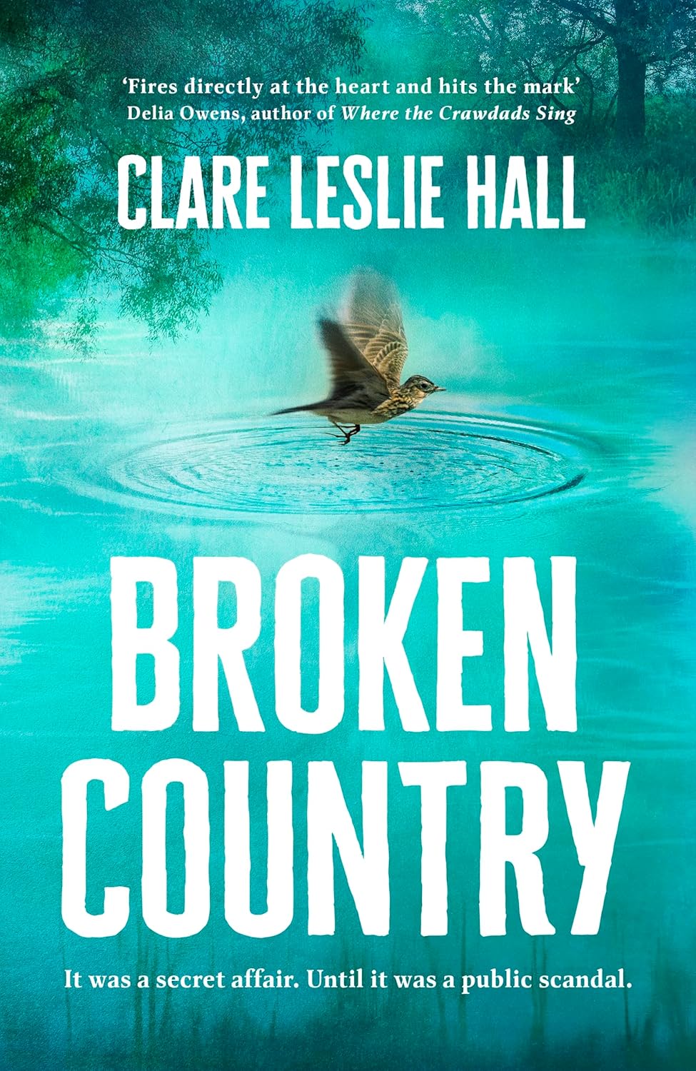 Broken Country by Clare Leslie Hall (HC)